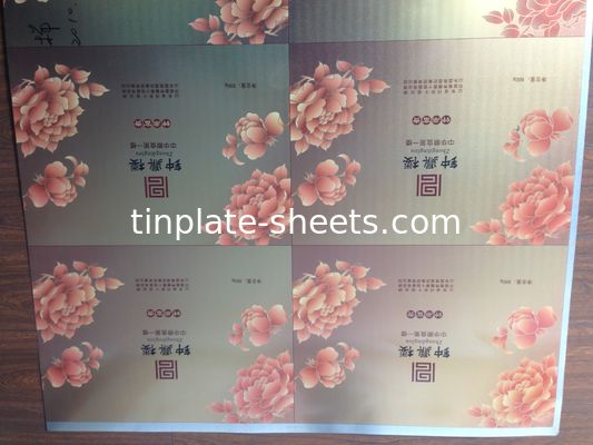 Personalizzazione T5 Fornitore di latta Forma rettangolare Ecofriendly T2.5