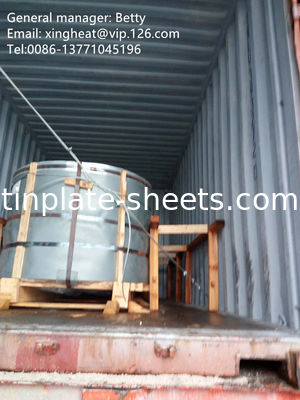 Coili di latta per l'industria dell'imballaggio 25 tonnellate MOQ EXW/FOB/CFR/CIF L/C/T/T/DP Condizioni di pagamento Materiale MR e SPCC