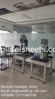 Placca di stagno versatile e modellabile ideale per diverse esigenze di modellazione e modellazione