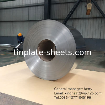 DIN GB JIS Standard TFS Sheet Electroplated Cromo Plate Pietra Finita