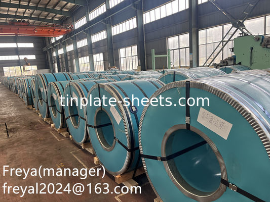 Produttore T2.5 T3 T4 T5 DR8 DR9