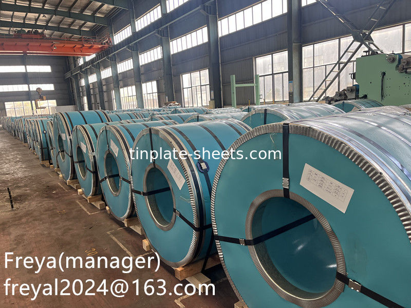 Pallone elettrolitico 2.8/2.8 JIS G330 per lattine alimentari 1.1/1.1 Pallone fabbrica T2.5 T3 T4 T5 DR8 DR9