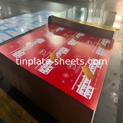 6 Color oro trasparente laccato stagno resistente alla corrosione